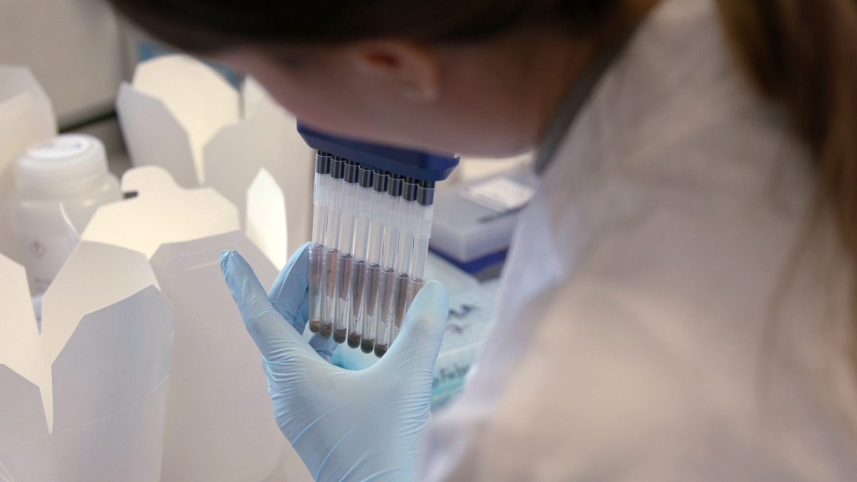 Lab work performed by a student