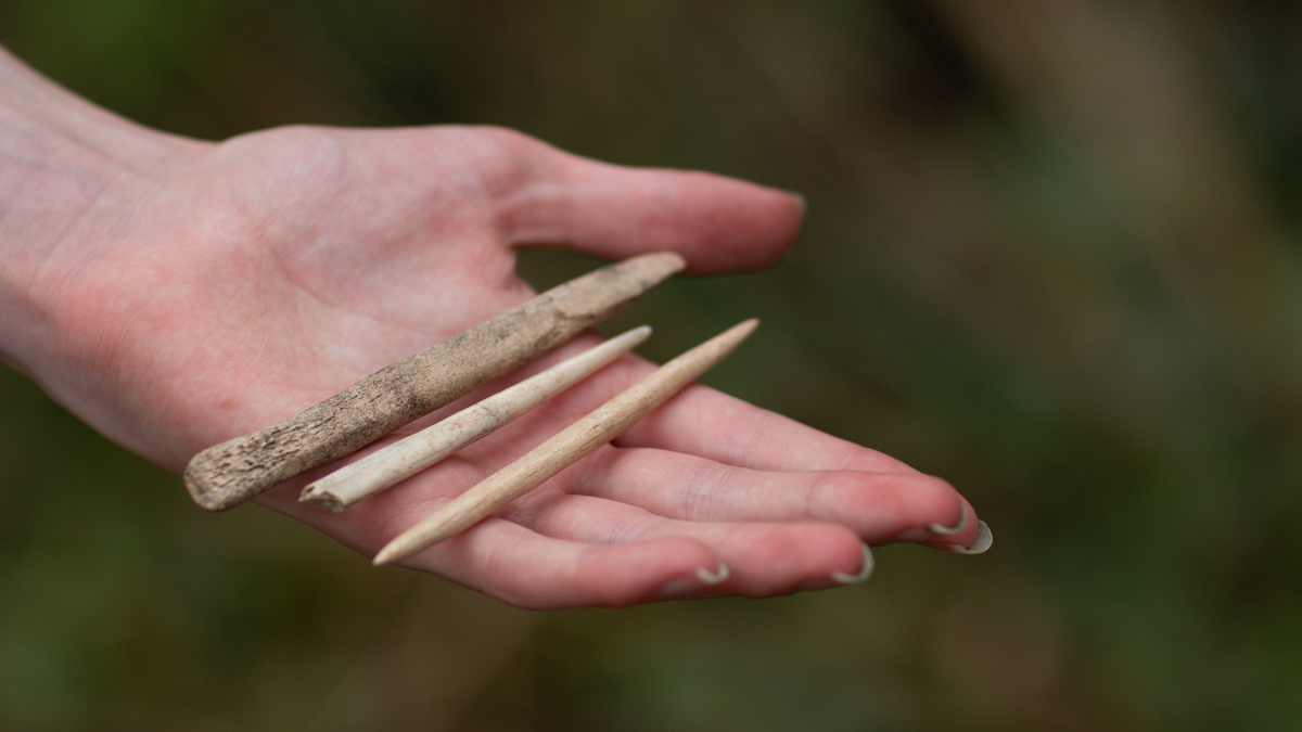 Artefacts held in hand