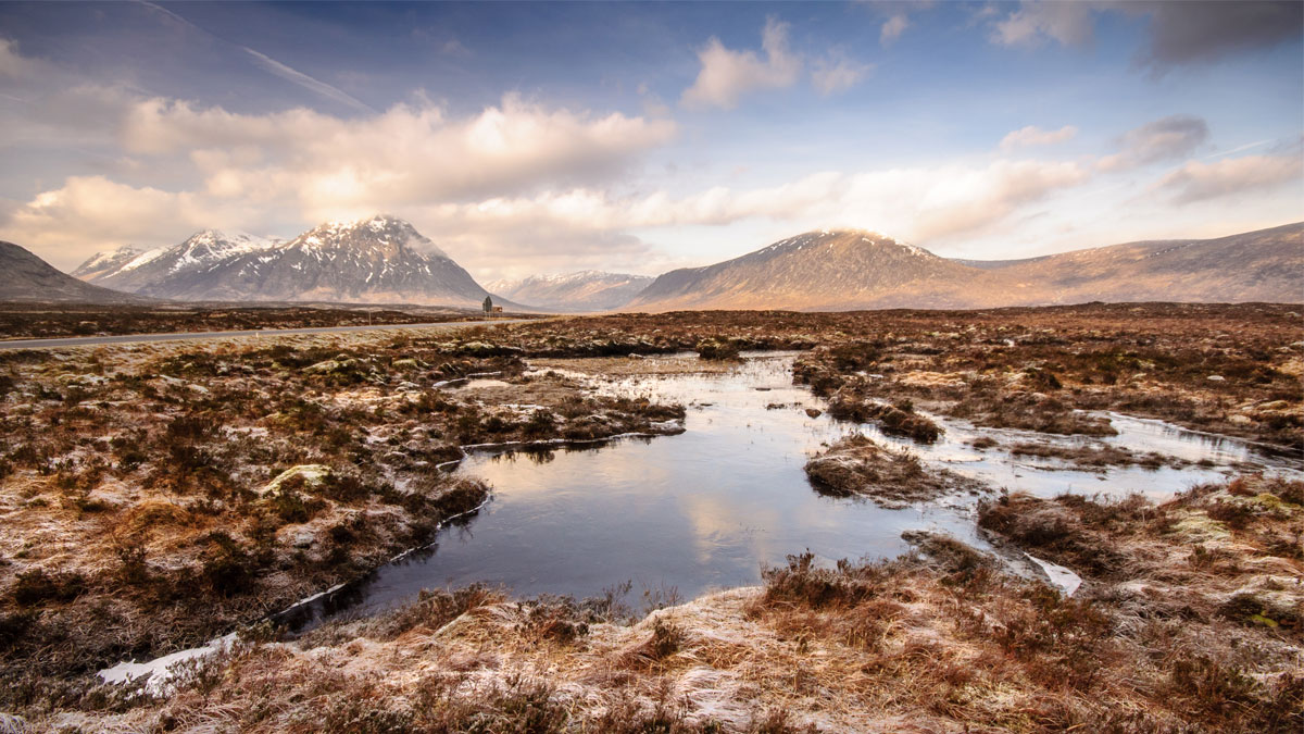 Peat Bog as a placeholder