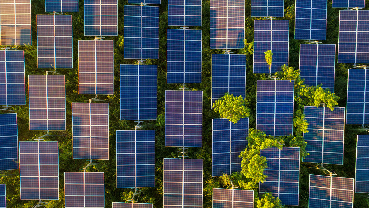 aerial view of solar panels