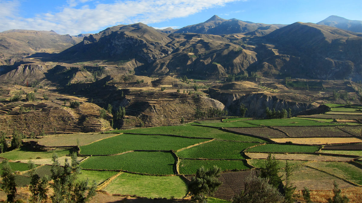 Landscape shot of the peruvian andes
