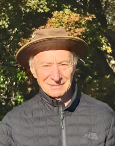 Professor Michael King portrait